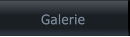 Galerie Galerie