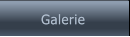 Galerie Galerie