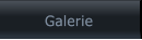 Galerie Galerie