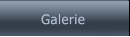 Galerie Galerie